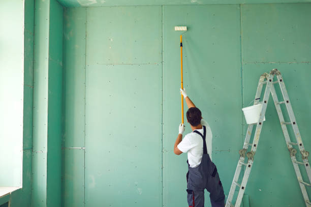 Best Mold Removal for HVAC Installations  in Manhasset Hills, NY