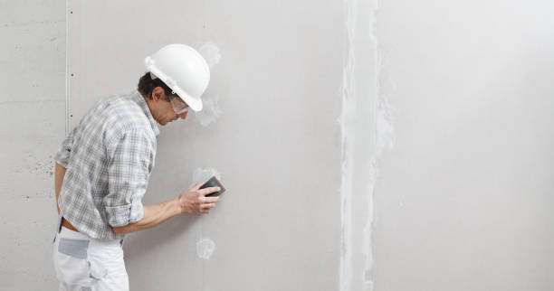 Best Post-Construction Mold Inspection  in Manhasset Hills, NY