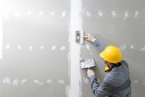 Best Emergency Mold Remediation  in Manhasset Hills, NY