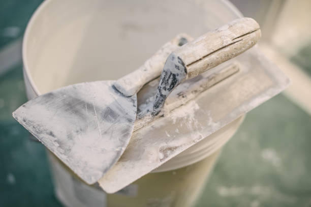 Best Environmental Consulting for Mold Prevention  in Manhasset Hills, NY