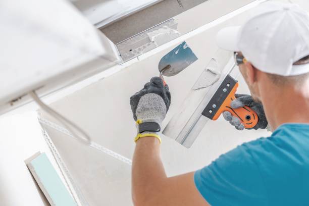 Manhasset Hills, NY Mold Removal Company